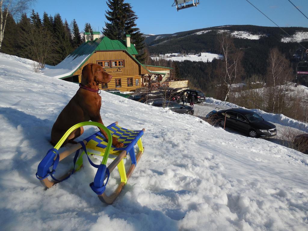Penzion Alenka Špindlerŭv Mlýn Exterior foto