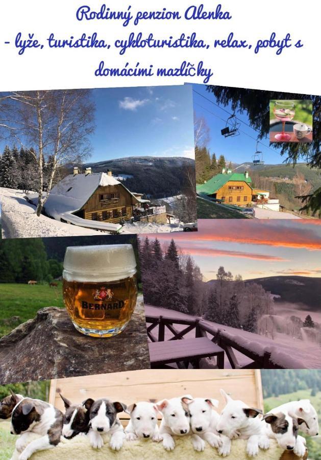 Penzion Alenka Špindlerŭv Mlýn Exterior foto