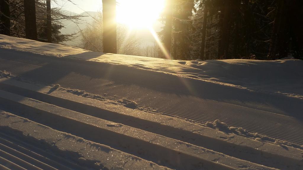 Penzion Alenka Špindlerŭv Mlýn Exterior foto
