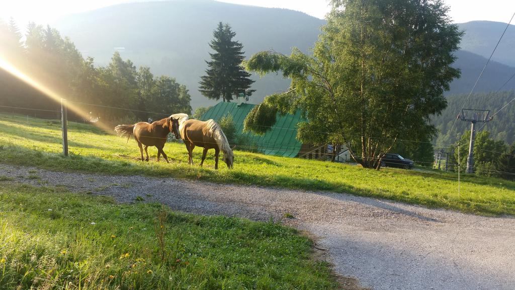 Penzion Alenka Špindlerŭv Mlýn Exterior foto